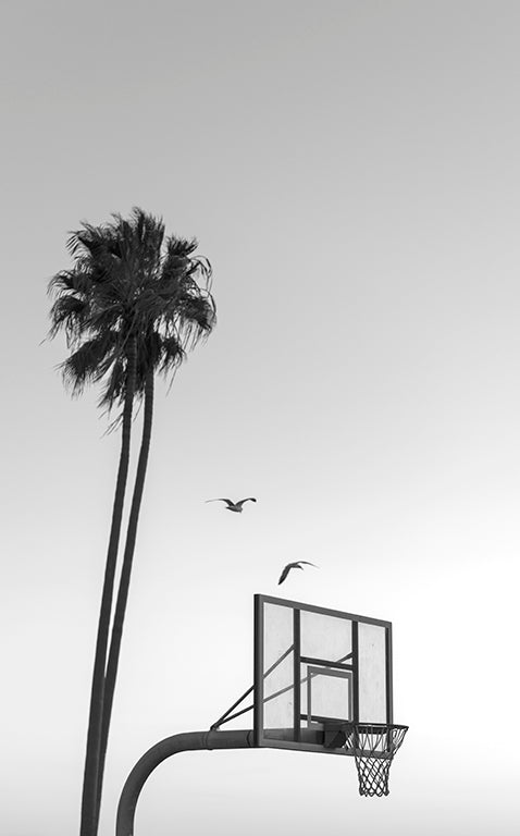 2 birds (black & white)